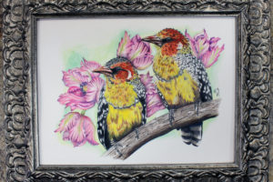 Red and Yellow Barbets