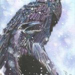 Quoth the Raven, 6x9 Watercolor 